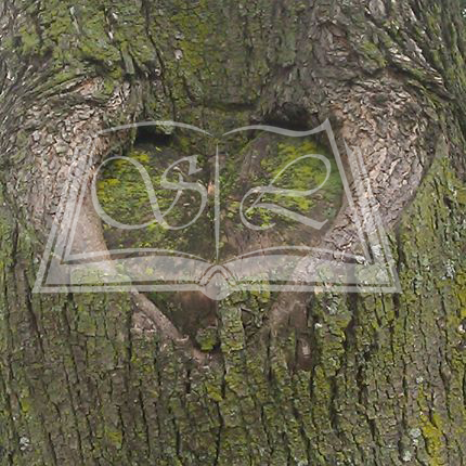 Love is Everywhere "Love Knot"